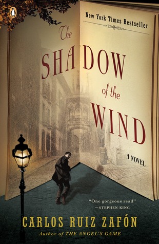 The Way Of Shadows Pdf