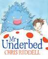 Mr Underbed cover