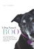 A Dog Named Boo How One Dog and One Woman Rescued Each Other--and the Lives They Transformed Along the Way by Lisa J. Edwards