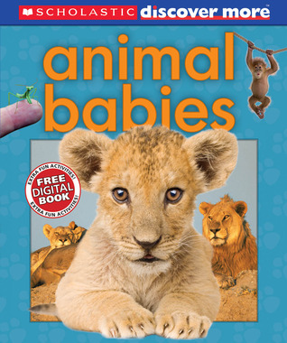animal-babies