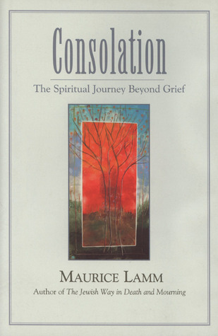 consolation-the-spiritual-journey-beyond-grief