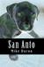 San Anto (Rivals, #1) by Mike Duron