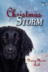 Christmas Storm