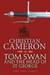 Venice Tom Swan and the Head of St George Part Two by Christian Cameron