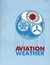 Aviation Weather