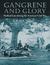 Gangrene and Glory Medical Care during the American Civil War by Frank R. Freemon