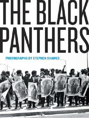 the-black-panthers