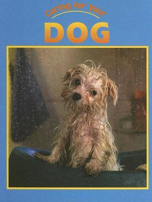 caring-for-your-dog
