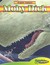 Graphic Classics Herman Melville's Moby Dick by Rod Espinosa