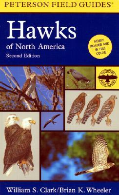 a-field-guide-to-hawks-of-north-america