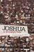 Joshua A Brooklyn Tale by Andrew Kane