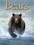 Bears A Year in the Life by Matthias Breiter