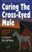 Curing the Cross-Eyed Mule by Loyal Jones