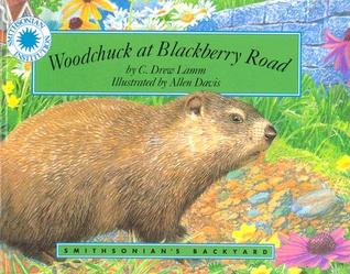 woodchuck-at-blackberry-road