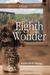 The Eighth Wonder by Kimberly S. Young