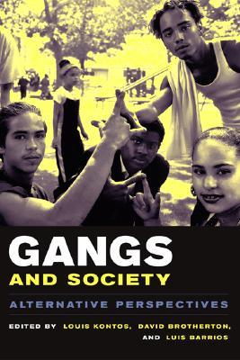 gangs-and-society-alternative-perspectives