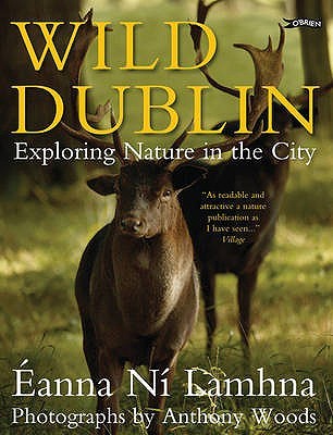 wild-dublin-exploring-nature-in-the-city