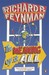 The Meaning Of It All by Richard Feynman