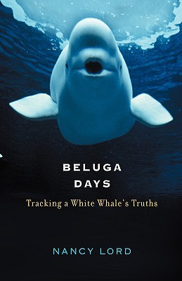 beluga-days-tracking-a-white-whale-s-truths