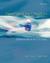 New Venture Creation: Entrepreneurship for the 21st Century