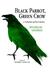 Black Parrot, Green Crow A Collection of Short Fiction by Hushang Gulshiri