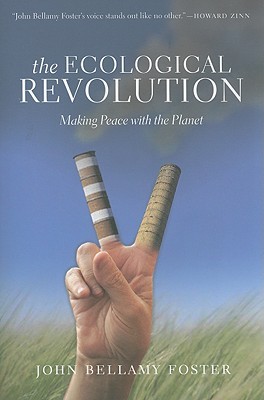 The Ecological Revolution: Making Peace with the Planet