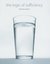 The Logic Of Sufficiency by Thomas Princen The Logic Of Sufficiency by Thomas Princen