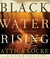 Black Water Rising by Attica Locke