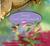 Saving Ceecee Honeycutt by Beth Hoffman