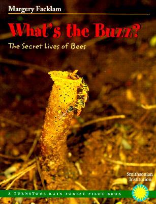 what-s-the-buzz-the-secret-lives-of-bees