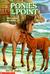 Ponies at the Point (Animal Ark Series #10) by Ben M. Baglio