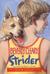 Strider by Beverly Cleary