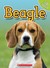 Beagle by Charles George
