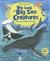 The Usborne Big Book of Sea Creatures by Minna Lacey
