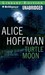 Turtle Moon by Alice Hoffman