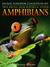Tree Frogs, Mud Puppies & Other Amphibians by Daniel Gilpin