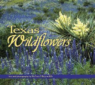 texas-wildflowers