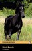 Black Beauty (Abridged) by John Davage