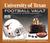 University of Texas Football Vault by Steve Richardson