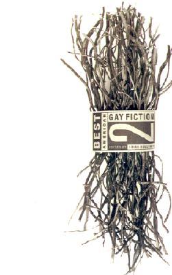 best-american-gay-fiction-2