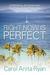 Right Now Is Perfect A Romance, an Adventure, the Unexpected Thereafter by Carol Anita Ryan