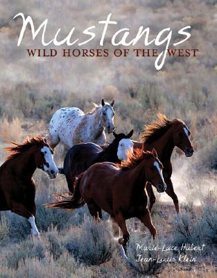 mustangs-wild-horses-of-the-west