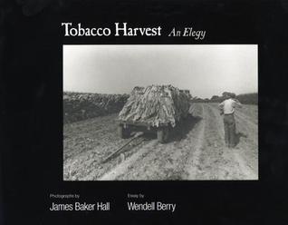 tobacco-harvest-an-elegy
