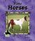 Pinto Horses by Julie Murray