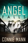 Angel Falls cover