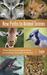 New Paths to Animal Totems: Three Alternative Approaches to Creating Your Own Totemism
