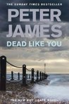 Dead Like You (Roy Grace, #6)