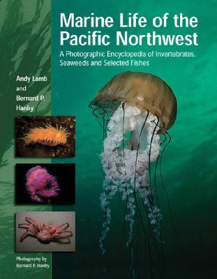 Marine Life Of The Pacific Northwest A Photographic