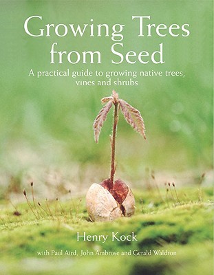 growing trees from seeds