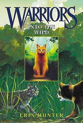 into-the-wild